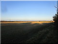 Stubble field near Aerodrome Farm in NG33 5QT