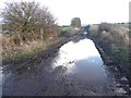 Large puddle on the byway in NE43 7RX