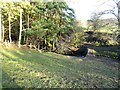 Footbridge on the Smithy Burn in NE43 7RX