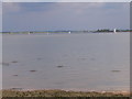 Yachts on the River Blackwater in Maldon East Ward
