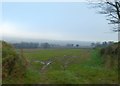 View across a field towards Chard from Bounds Lane in TA20 2TJ