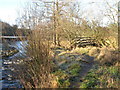 (Another) footbridge over Catton Burn in NE47 9LW