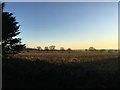 Late afternoon sunshine, Shelland in Shelland