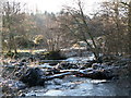 Fallen trees on the River East Allen in NE47 9LW