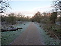 Frost on a track in the Woodgate Valley Country Park in B32 1SD