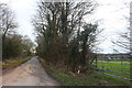 Lane north of Gastard in SN13 9QH