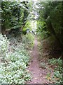 Bridleway to Lockeridge Lane [2] in SN8 1PY