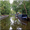 Trent and Mersey Canal near Trentham in Stoke-on-Trent in ST4 8DW