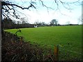 Grassy field beside Mearns Road in East Renfrewshire