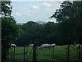 The Malvern Hills (Viewed from Tedstone Delamere) in HR7 4PS