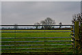 Clayhidon : Grassy Field & Gate in EX15 3TW