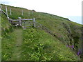 Gate and stile along the Pembrokeshire Coast Path in SA43 3BT