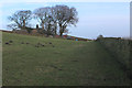 Approaching Bog Bank Farm in BB2 5PJ