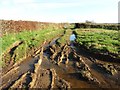 Muddy turning area on Chance Moor in EX16 8QB