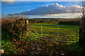 Churchstanton : Grassy Field & Gate in TA3 7EJ