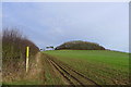 On a bridleway running past the flank of Colborough Hill in Billesdon & Tilton Ward