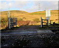 Across Rhydypwllan Level Crossing, Pantyffordd in SA10 9HG