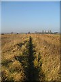 Hereward Way, Lakenheath Fen in IP27 9AE