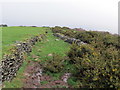 Ffordd hynafol Mynydd Drumau / Mynydd Drumau ancient way in SA10 6PS