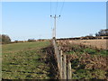 Fence and powerline near Prenderguest in the Scottish Borders in TD14 5RP