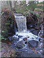 Small waterfall in The Rivelin Valley in S10 5AF