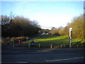 Open space off Limes Road, Priory Estate in DY1 3PW