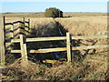 View from field-drain bridge near Prenderguest in the Scottish Borders in TD14 5RP