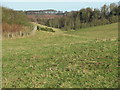 Dry pasture in wee valley near Prenderguest in the Scottish Borders in TD14 5RP