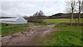 Polytunnel in the Coughton valley in HR9 5TH