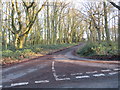Road through woodland at Norton Heath, near Ongar in CM4 0LP