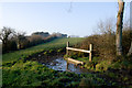 Horse pond, Charlton Horethorne in BA8 0BT