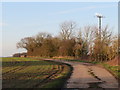 Driveway in a field near Ongar in CM4 0LW