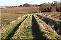 Bridleway at Yelling in PE19 6PL