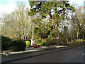 War memorial, High Street, Watton at Stone in SG14 3RD