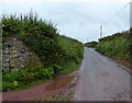 Pembrokeshire Coast Path and lane towards Herbrandston in SA73 3SP