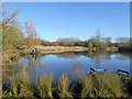 Lake in Mouldon Hill Country Park in SN5 4JP