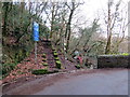 Stepiau i'r coed / Steps to the woods in SA10 8TB