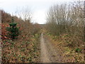 Llwybr ger Ffarm Gelli-galed / Path near Gelli-galed Farm in SA10 8PH
