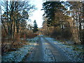 The track to Bolldow in AB37 9AT