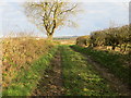 Enclosed track used by public footpath heading towards Broom Hill Farm in DH6 5LN