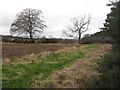 Farmland at West Morham in EH41 4PD