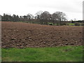 East Lothian farmland in EH41 4PD