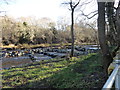 Completed fish ladder at Shotley Grove in DH8 8SD