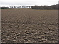 Newly ploughed field at Morham Loanhead in EH41 4LH