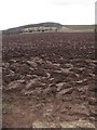 Newly ploughed field in EH41 4LG