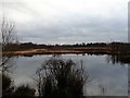 Heathland pond at Greencroft in DH9 8NN