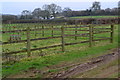 Fenced paddocks beside Newton Lane in SP5 2QJ
