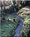 Stream feeding the old mill pond in RH20 1PQ