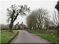 Country lane near Stocking Pelham in Stocking Pelham
