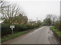 Lane approaching Stocking Pelham in Stocking Pelham